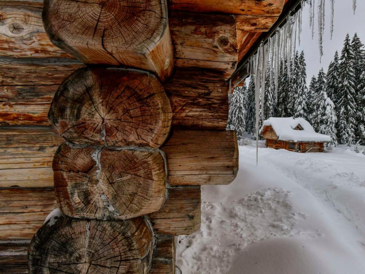 Lodge Nadgora Žabljak Exterior foto