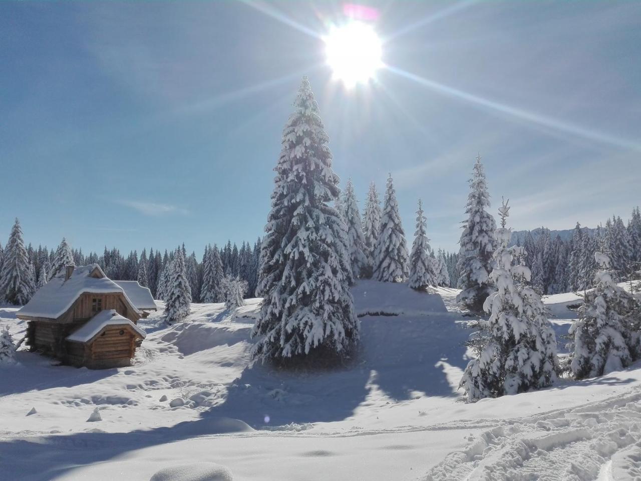 Lodge Nadgora Žabljak Exterior foto